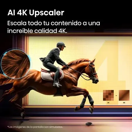 Imagen 5